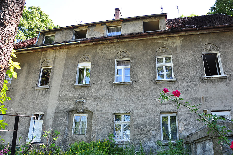 DSC 0103